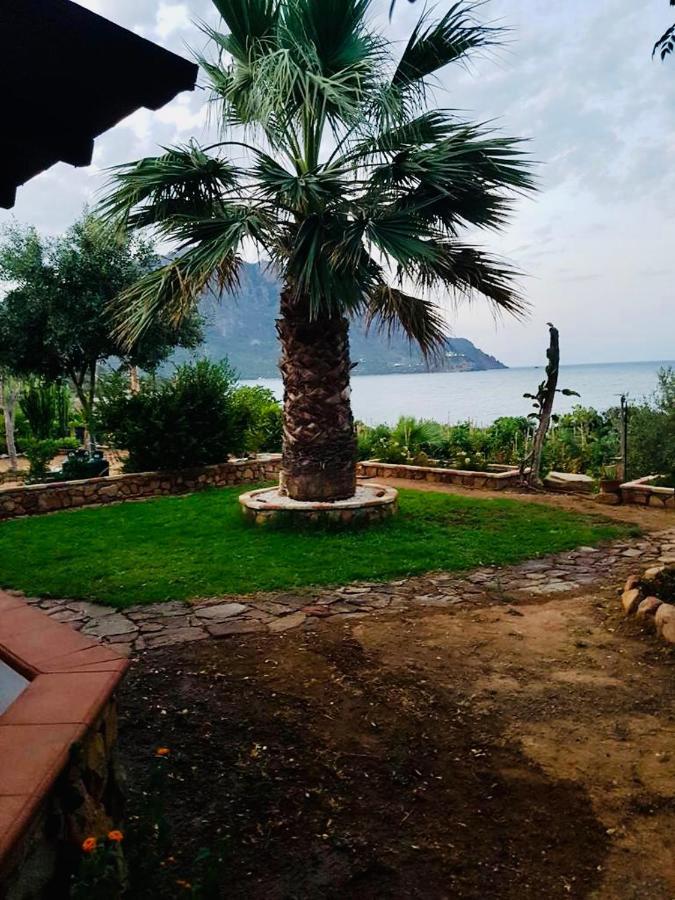 Il Bacio Del Sole Apartment Tertenia Ngoại thất bức ảnh