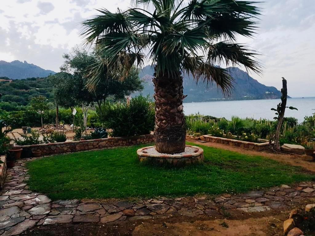 Il Bacio Del Sole Apartment Tertenia Ngoại thất bức ảnh